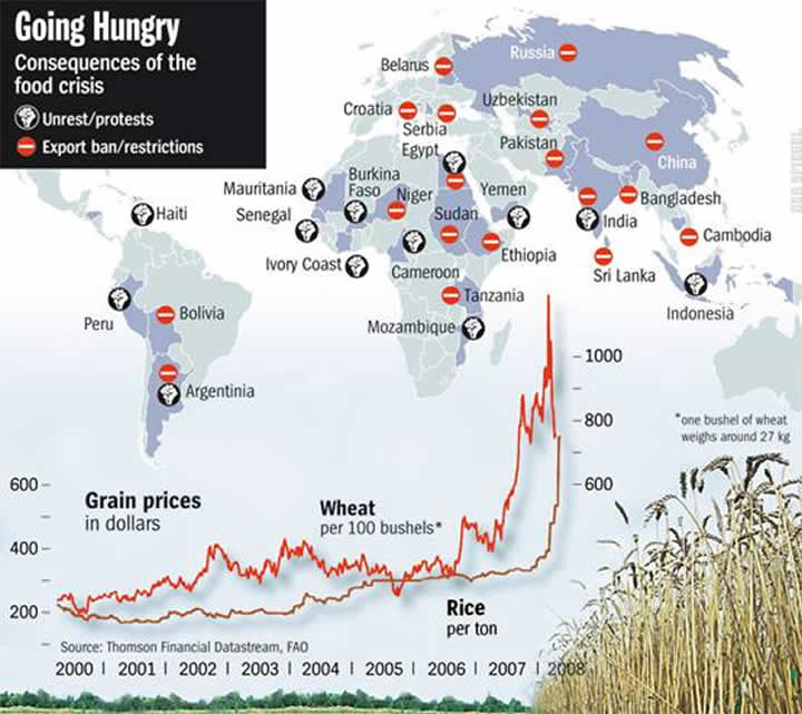 global-food-crisis-april08 image002