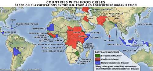 world-food-crisis-2008