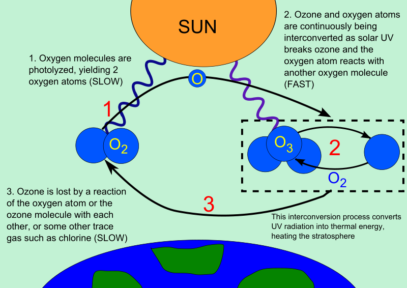 ozone-cycle