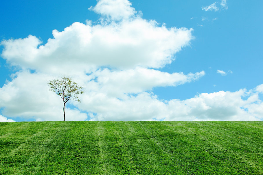 114338  nature-sky-clouds-tree-field-spring p