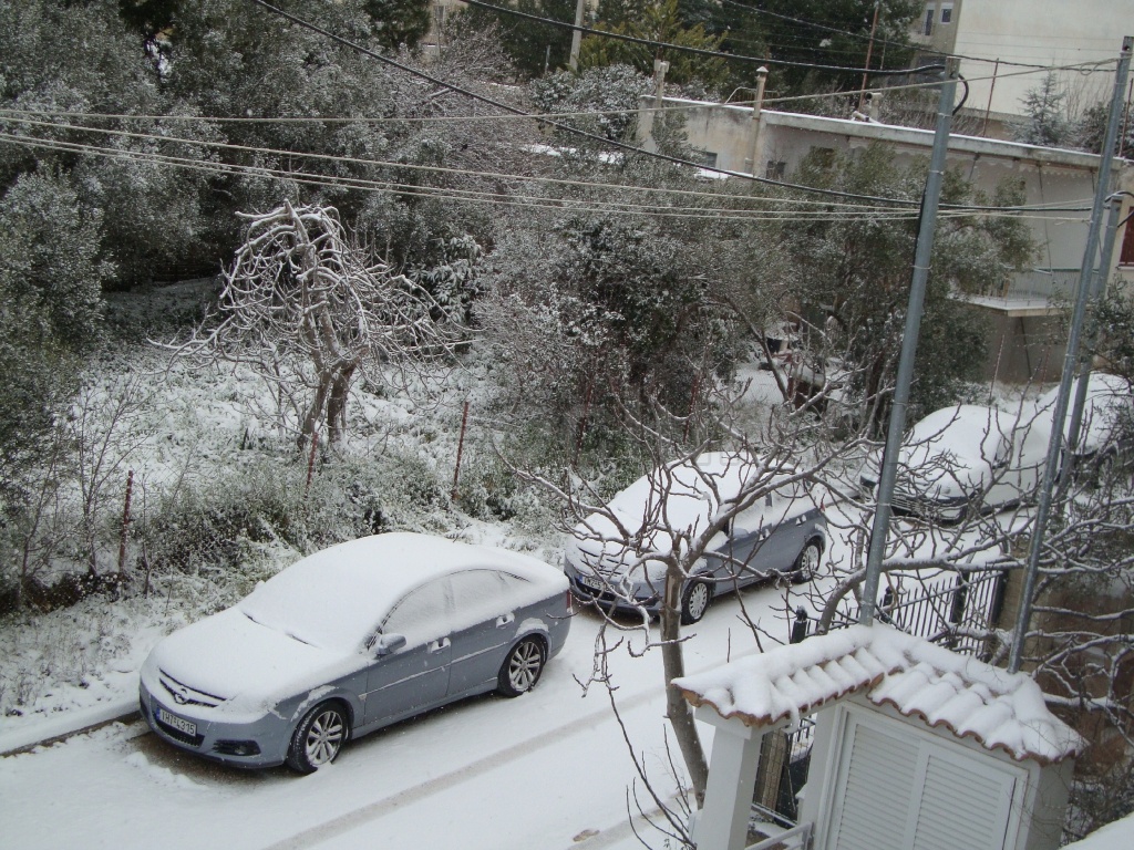 Μελίσσια χιονιάς 2012_1