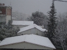 Μελίσσια χιονιάς 2012_1