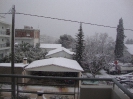 Μελίσσια χιονιάς 2012_3