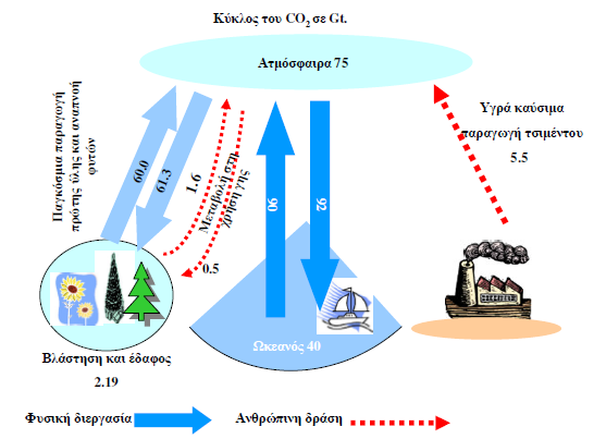carbon-dioxide-cycle